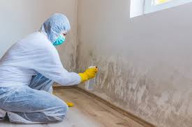 Why You Should Choose Our Mold Remediation Services in Grantley, PA