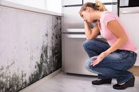 Best Emergency Mold Remediation  in Grantley, PA