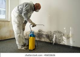 Best Mold Damage Restoration  in Grantley, PA